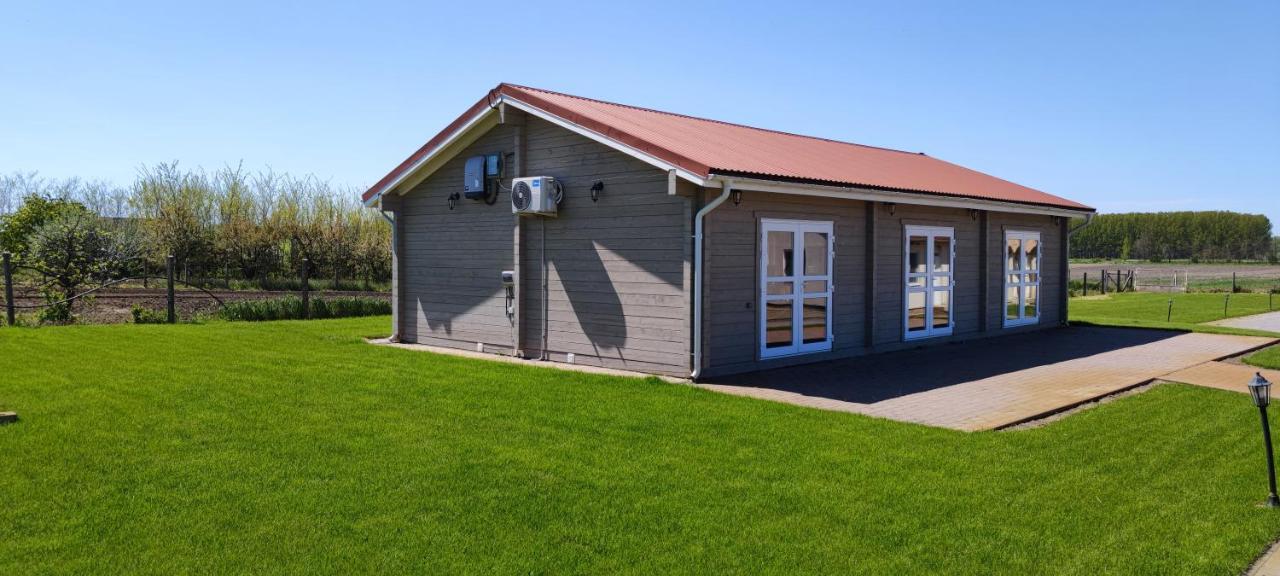 Village Garden Family Guest House Tiszakanyár Zewnętrze zdjęcie